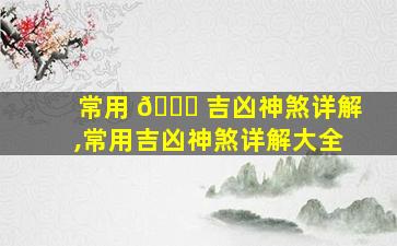 常用 🐎 吉凶神煞详解,常用吉凶神煞详解大全